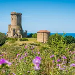 La Terra Di Parmenide Ascea
