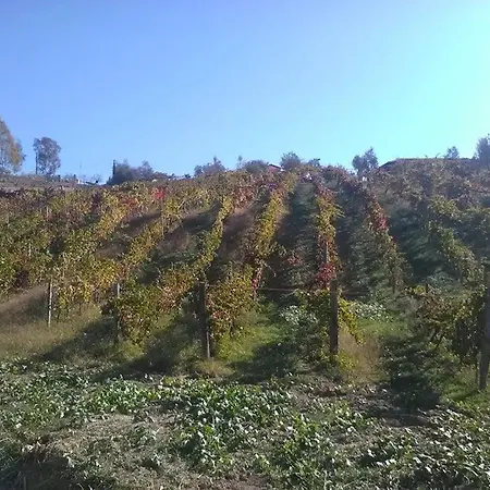La Terra Di Parmenide Bed & Breakfast