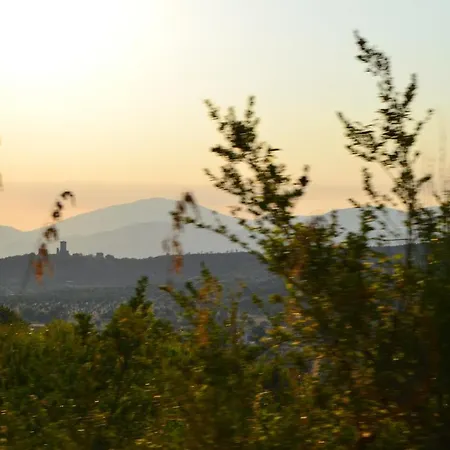 La Terra Di Parmenide Bed & Breakfast Ascea