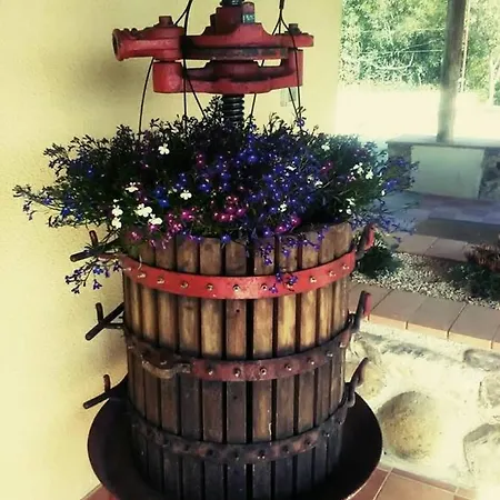Bed & Breakfast La Terra Di Parmenide 3*