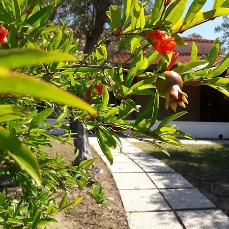 Bed & Breakfast La Terra Di Parmenide