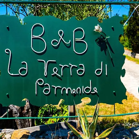Bed & Breakfast La Terra Di Parmenide Ascea