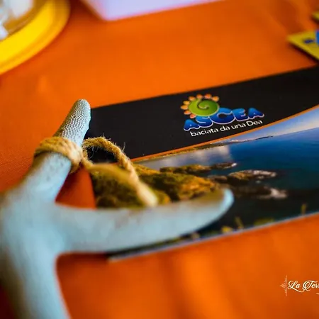 Bed & Breakfast La Terra Di Parmenide Ascea