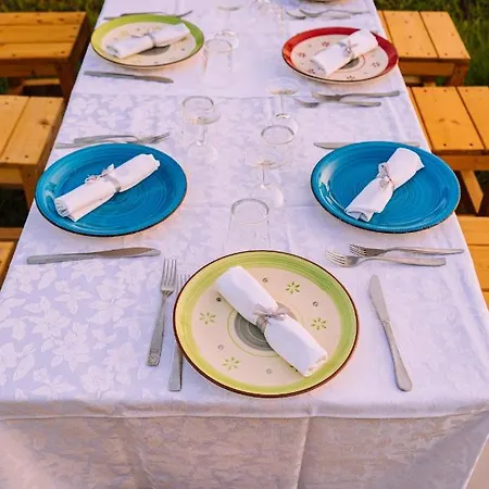 Bed & Breakfast La Terra Di Parmenide Ascea