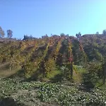 La Terra Di Parmenide Bed and Breakfast