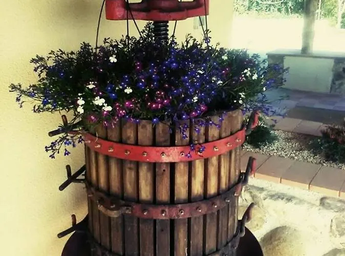 Bed & Breakfast La Terra Di Parmenide 3*