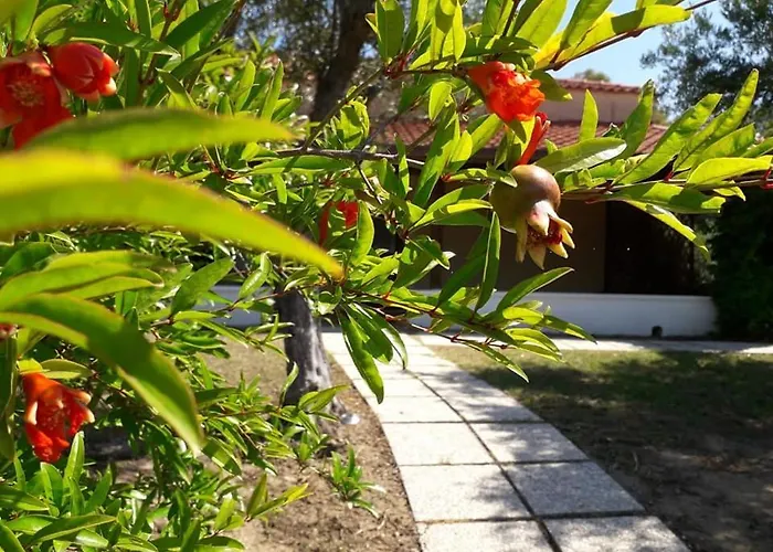 Bed & Breakfast La Terra Di Parmenide